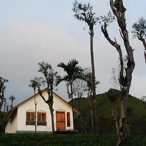 Tea Terrace Vythiri Wayanad